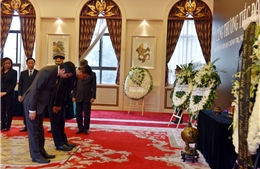 Lễ viếng và mở sổ tang nguyên Chủ tịch nước, Đại tướng Lê Đức Anh tại Trung Quốc