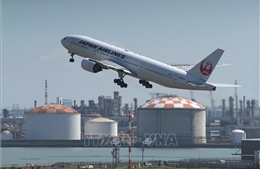 Hãng hàng không Nhật Bản hủy 32 chuyến bay do sự cố hệ thống check-in