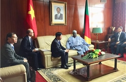 Đặc phái viên Thủ tướng, Thứ trưởng Ngoại giao Nguyễn Quốc Cường làm việc tại Cameroon