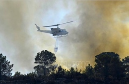 EU lập phi đội đối phó với cháy rừng