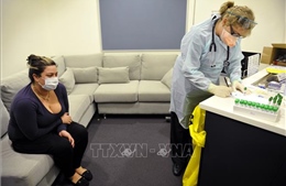 Australia cảnh báo về tình trạng dịch cúm lây lan bất thường