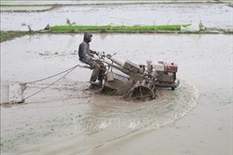 Vĩnh Phúc hỗ trợ máy nông nghiệp cho nông dân