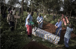 WHO: 25% số ca nhiễm Ebola không được phát hiện tại CHDC Congo