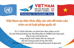 Việt Nam ưu tiên thúc đẩy các vấn đề toàn cầu trên cơ sở luật pháp quốc tế