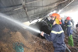 Cháy rụi xưởng chế biến chứa hơn 400 tấn lạc ở Hà Tĩnh