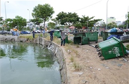 Mỗi ngày, hàng tấn cá chết tại hồ Thạc Gián, Đà Nẵng