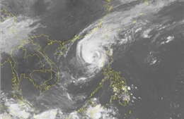 Khoảng 4 - 5 cơn bão sẽ &#39;đổ bộ&#39; vào đất liền từ tháng 7-12/2019 