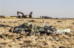Ethiopian Airlines bác cáo buộc vụ tai nạn máy bay Boeing 737 MAX là do lỗi phi công