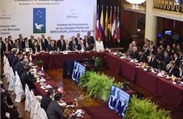 Triển vọng mờ mịt về thỏa thuận thương mại EU-Mercosur