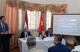 Giải phóng tiềm năng và thúc đẩy hợp tác du lịch Việt Nam - Ai Cập