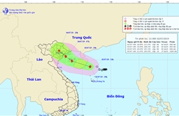 Áp thấp nhiệt đới mạnh lên thành bão số 2