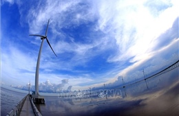 Những vấn đề xung quanh dự án điện gió ngoài khơi Kê Gà