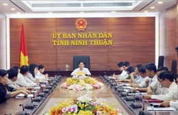 Ninh Thuận họp khẩn chống dịch tả lợn châu Phi
