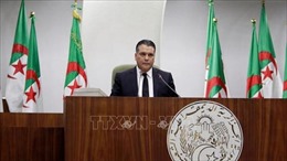 Algeria có Chủ tịch Hạ viện mới