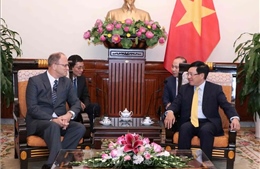 Phó Thủ tướng, Bộ trưởng Ngoại giao Phạm Bình Minh tiếp Đại sứ Cộng hòa Liên bang Đức