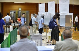 Nhật Bản: Liên minh cầm quyền có thể giành trên 50% số ghế Thượng viện