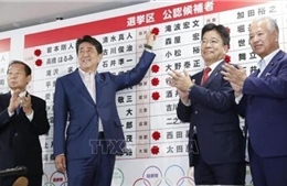 Thủ tướng Nhật Bản hoan nghênh kết quả cuộc bầu cử Thượng viện