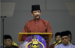 Điện mừng nhân ngày sinh Quốc vương Brunei