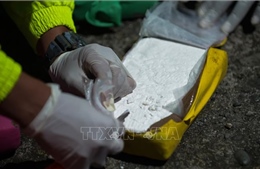 Phát hiện gần 3 kg cocaine giấu trong nhà vệ sinh máy bay
