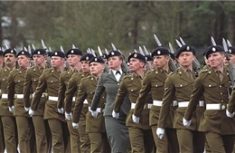 Quy mô quân đội Anh giảm liên tiếp trong gần một thập kỷ