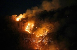 Số vụ cháy rừng ở Trung Phi nhiều hơn ở Brazil trong vòng 48 giờ qua