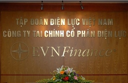 EVN thu về hơn 219 tỷ đồng từ thoái vốn cổ phần tại EVN Finance
