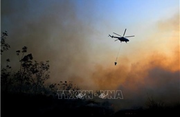 Indonesia huy động máy bay trực thăng đối phó với cháy rừng
