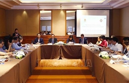 Tham vấn quốc gia về đánh giá triển khai Kế hoạch công tác Sáng kiến Hội nhập ASEAN giai đoạn III