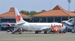 Indonesia và Malaysia điều tra vụ rò rỉ dữ liệu hàng triệu khách hàng của Lion Air