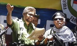 LHQ kêu gọi thúc đẩy thực hiện thỏa thuận hòa bình tại Colombia
