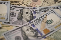 Sáng 7/10, tỷ giá trung tâm giảm 4 đồng