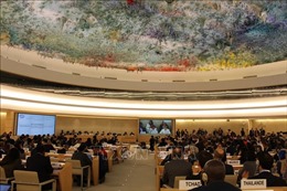 14 nước trúng cử thành viên Hội đồng Nhân quyền Liên hợp quốc
