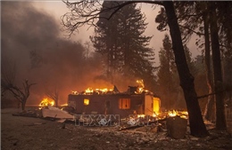Khoảng 180.000 người phải sơ tán vì cháy rừng tại California