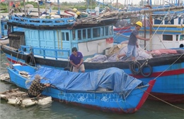 Chủ động ứng phó, hạn chế thiệt hại do bão và mưa lũ