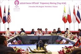 Việt Nam nỗ lực duy trì đà tiến triển của ASEAN, thúc đẩy và tăng cường thống nhất nội khối