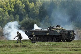 NATO tập trận &#39;Sói sắt 2019-2&#39; tại Litva