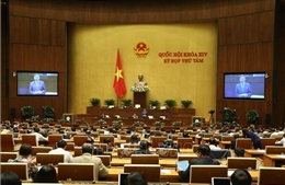 Kỳ họp thứ 8, Quốc hội khóa XIV: Thông cáo báo chí số 19