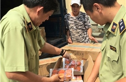 Tạm giữ hơn 5.400 gói bánh bông lan Trung Quốc không có giấy tờ