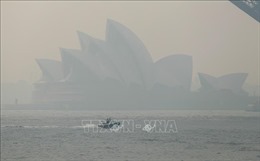 Sydney lại chìm trong khói mù ô nhiễm 