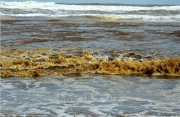Nước biển Quảng Ngãi đổi màu xám đen, nổi bọt vàng chưa rõ nguyên nhân