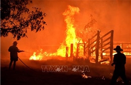 Australia: Cháy rừng hoành hành nghiêm trọng tại bang New South Wales