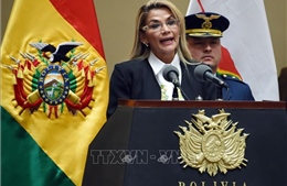 Tổng thống lâm thời Bolivia bác khả năng ra tranh cử