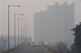 Chất lượng không khí của New Delhi xấu nghiêm trọng do khói bụi độc hại bao phủ
