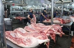 Nhiều giải pháp chống xuất lậu lợn