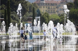 Cần cứu thế giới trước khi quá muộn