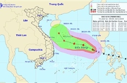 Bão số 8 đi chuyển chậm theo hướng Tây Tây Bắc