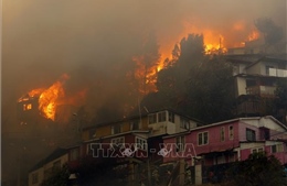 Vụ cháy rừng tại Valparaiso có thể là hành động chủ ý phóng hỏa