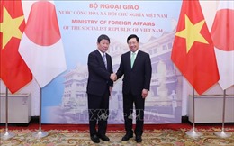 Nhật Bản nhất trí thảo luận khôi phục đi lại với Việt Nam