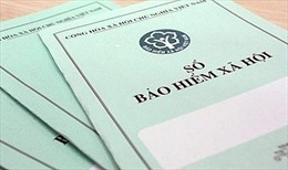 Đề nghị truy tố 72 đơn vị nợ bảo hiểm xã hội kéo dài tại TP Hồ Chí Minh