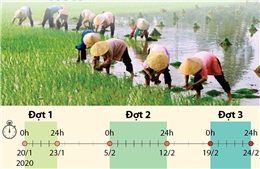 Lịch lấy nước gieo cấy lúa vụ Đông Xuân 2019-2020
